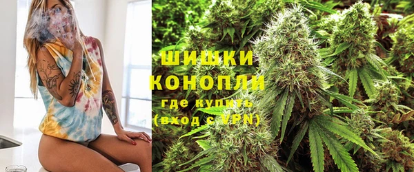 ECSTASY Абаза